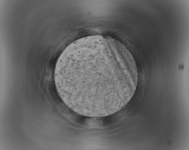X0000112730331200909171133