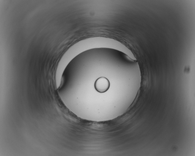 X0000112730332200909171133