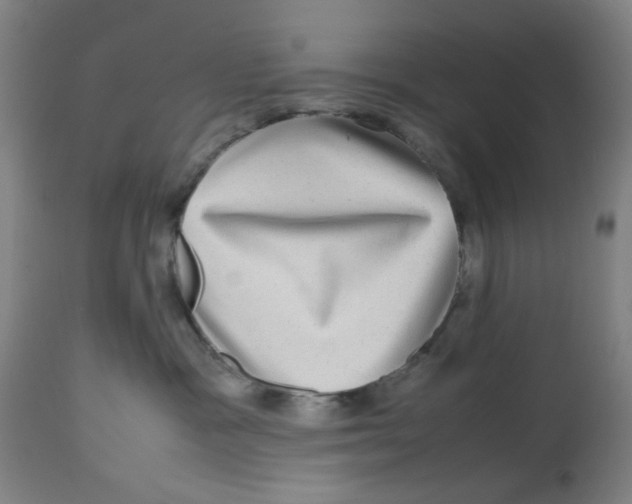 X0000112730333200909171133