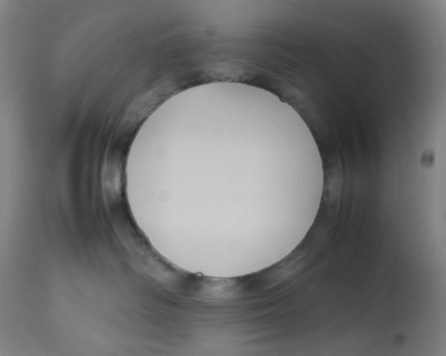 X0000112730334200909171133