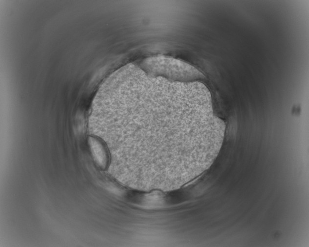 X0000112730335200909171133