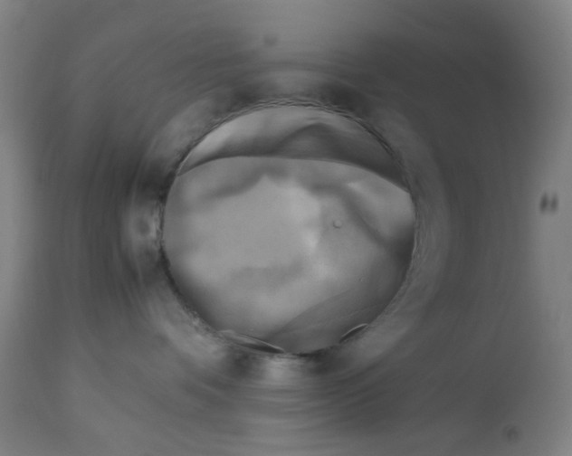 X0000112730336200909171133