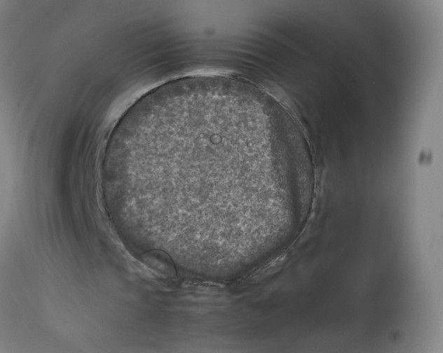 X0000112730337200909171132
