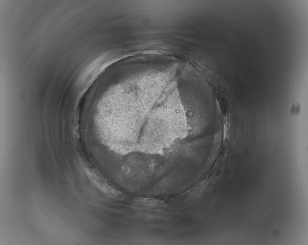 X0000112730339200909171132