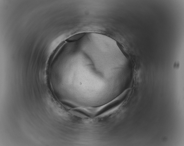 X0000112730340200909171132