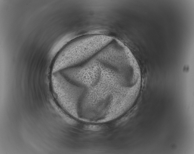X0000112730341200909171132