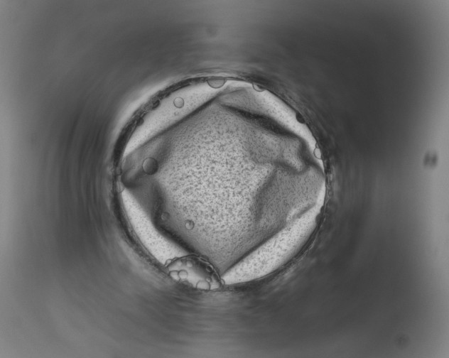 X0000112730342200909171132