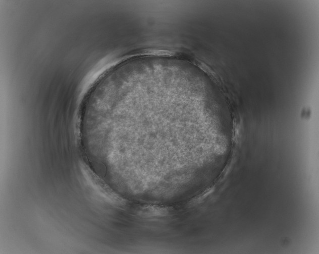 X0000112730343200909171132