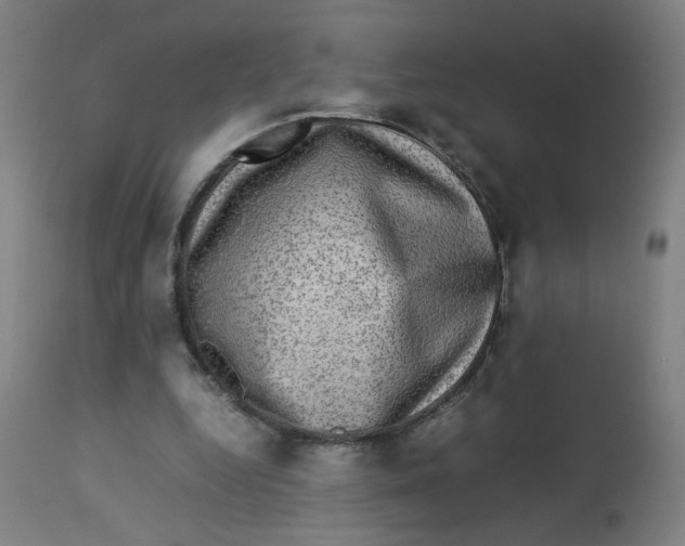 X0000112730344200909171132