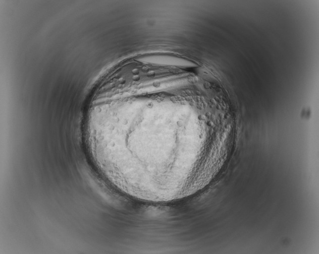 X0000112730346200909171132