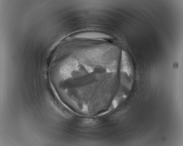 X0000112730347200909171132
