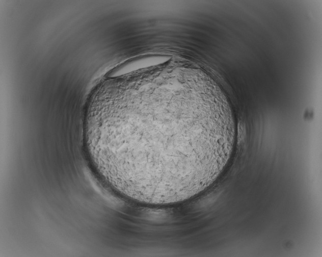 X0000112730349200909171132