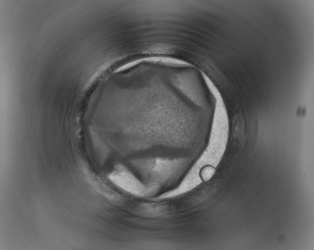 X0000112730351200909171132