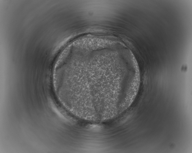 X0000112730352200909171132