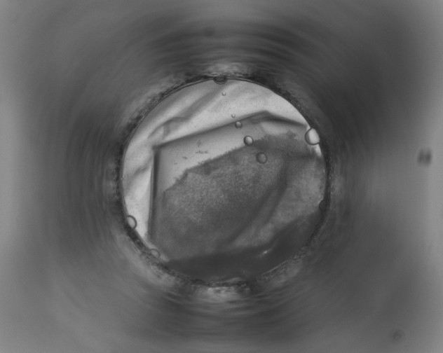 X0000112730353200909171132