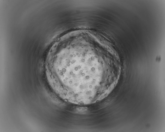 X0000112730355200909171132