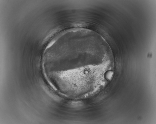 X0000112730357200909171132