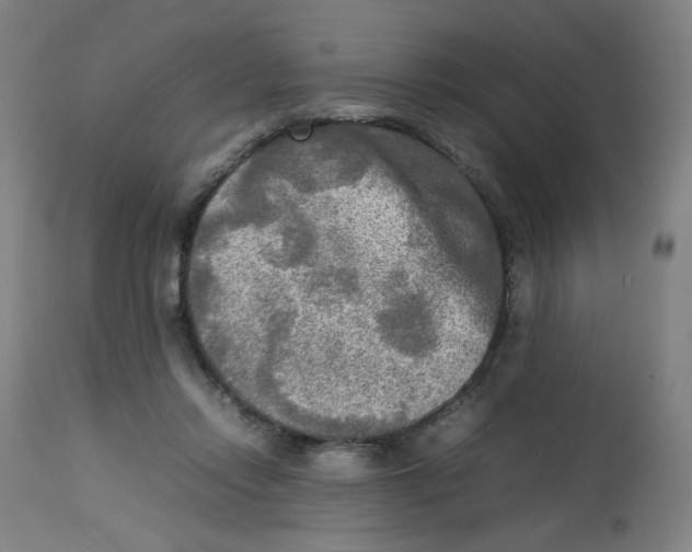 X0000112730358200909171133