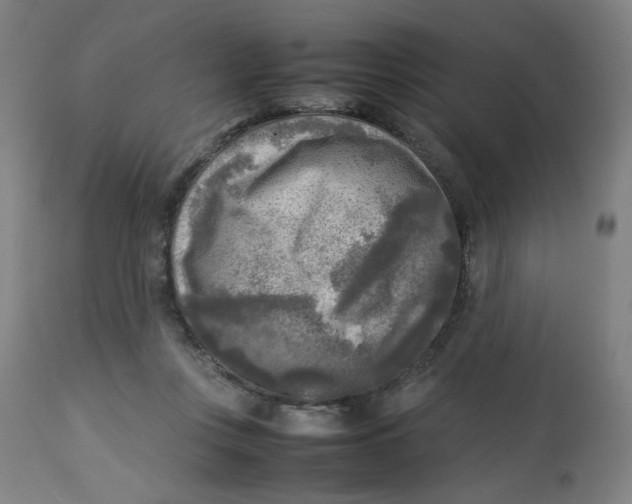 X0000112730359200909171133