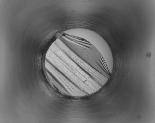 X0000112730360200909171133