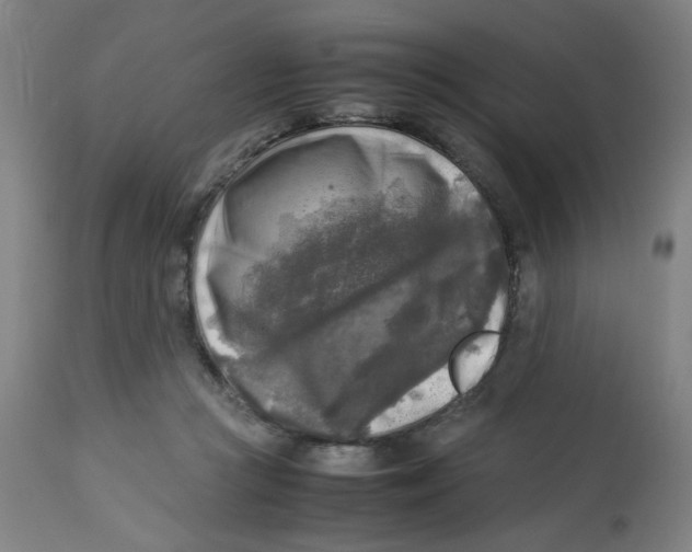 X0000112730361200909171133