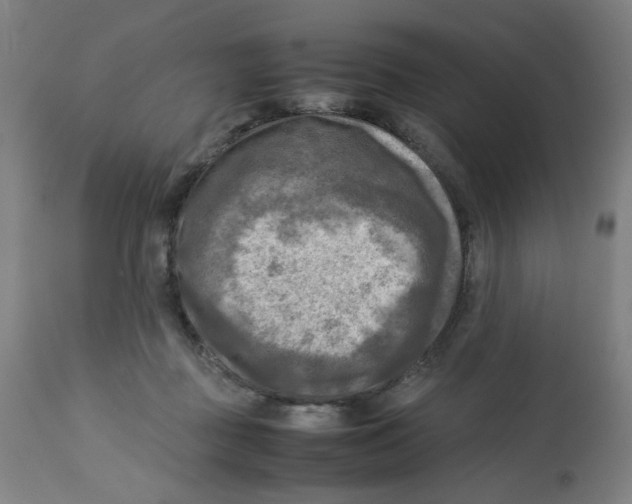 X0000112730363200909171133