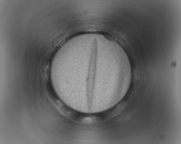 X0000112730364200909171133