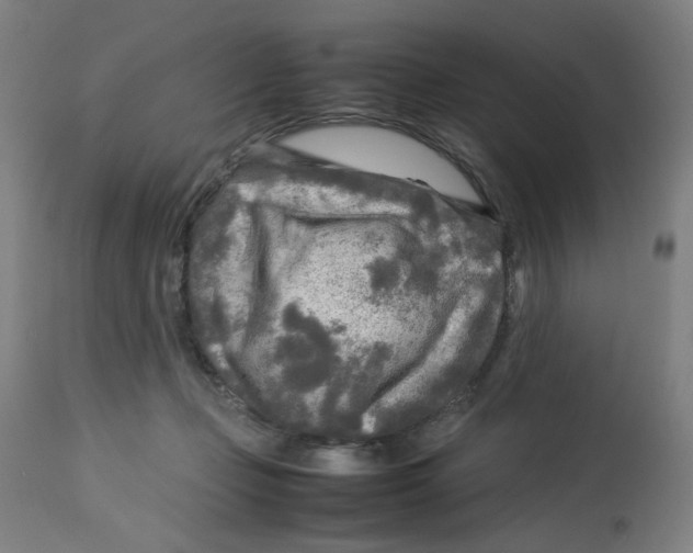 X0000112730365200909171133