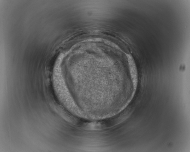 X0000112730366200909171133