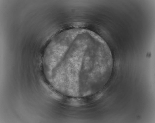 X0000112730367200909171133