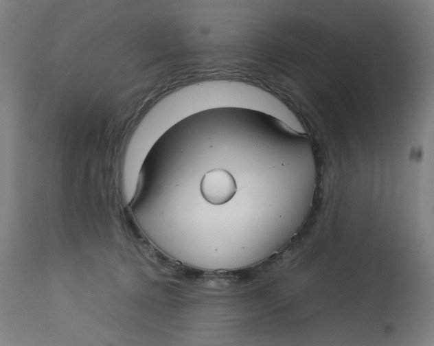 X0000112730368200909171133