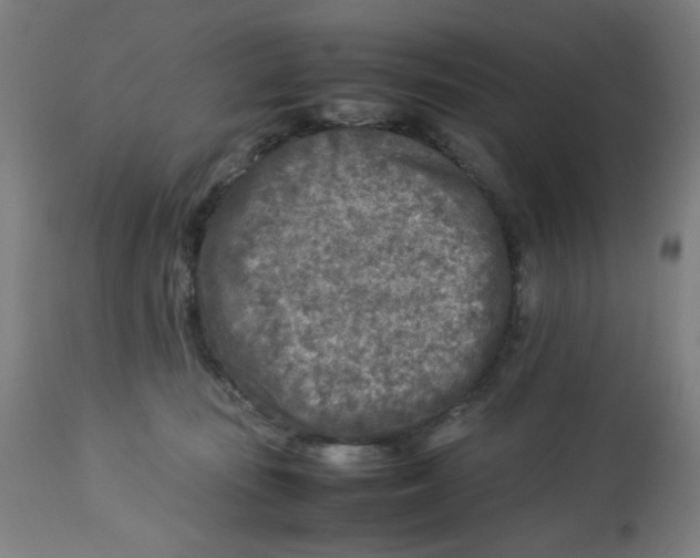 X0000112730371200909171133