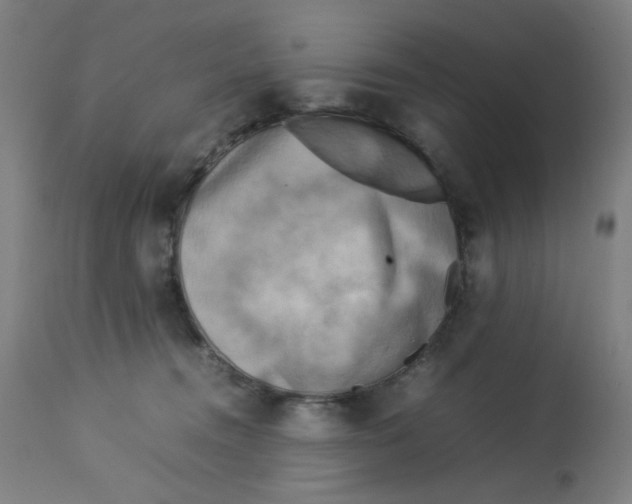 X0000112730372200909171133