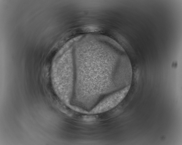 X0000112730373200909171133