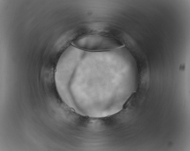 X0000112730376200909171133