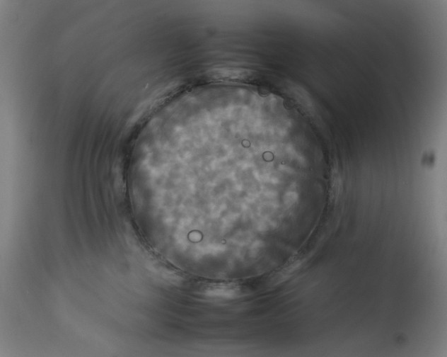 X0000112730377200909171133