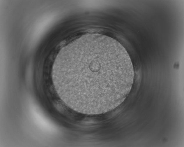 X0000112730381200909171133