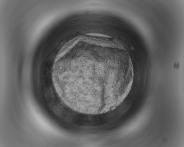 X0000112730383200909171133
