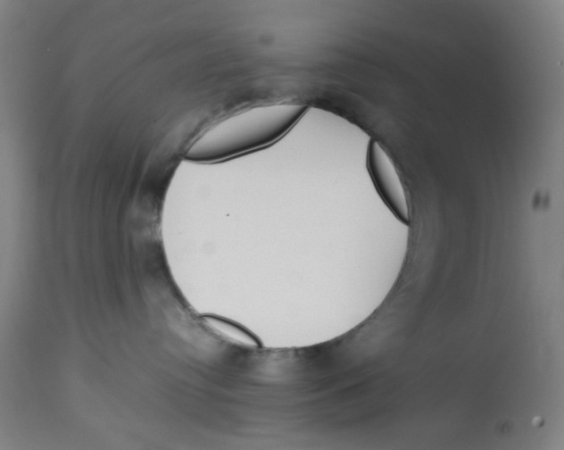 X0000112730384200909171133