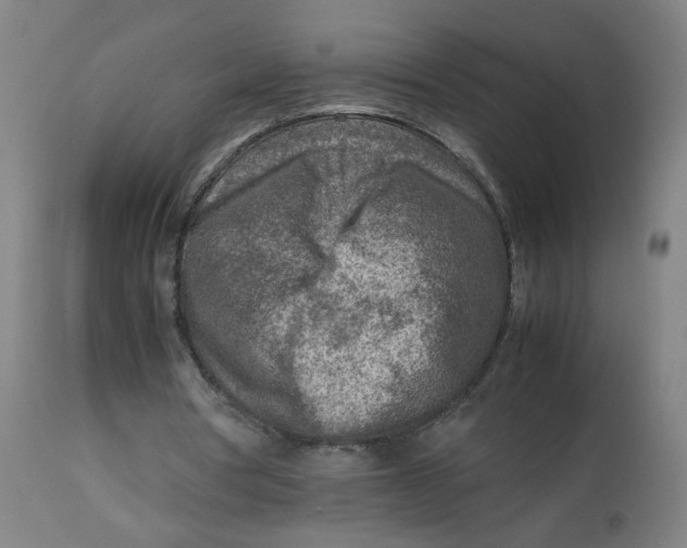 X0000112730386200909171132