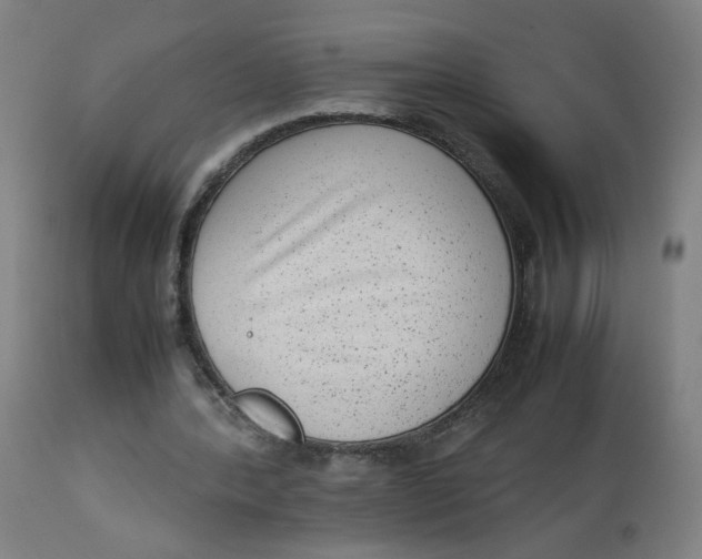 X0000112730388200909171132