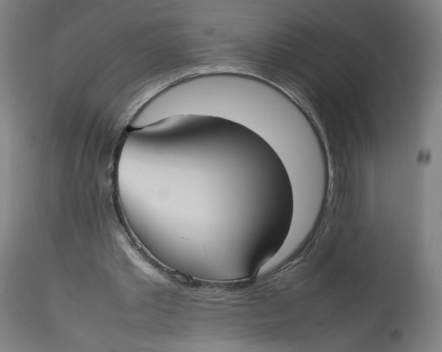 X0000112730389200909171132