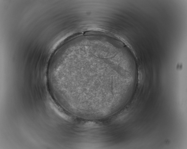 X0000112730390200909171132