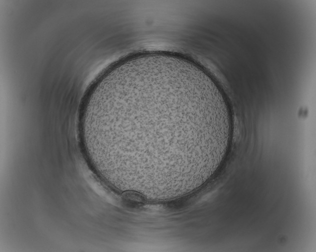 X0000112730391200909171132