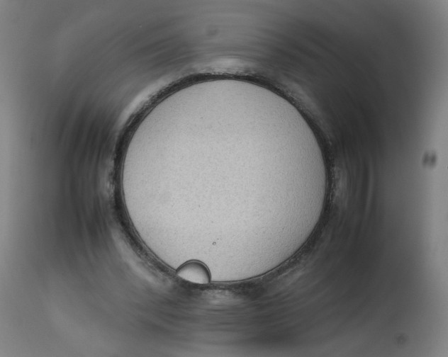 X0000112730392200909171132