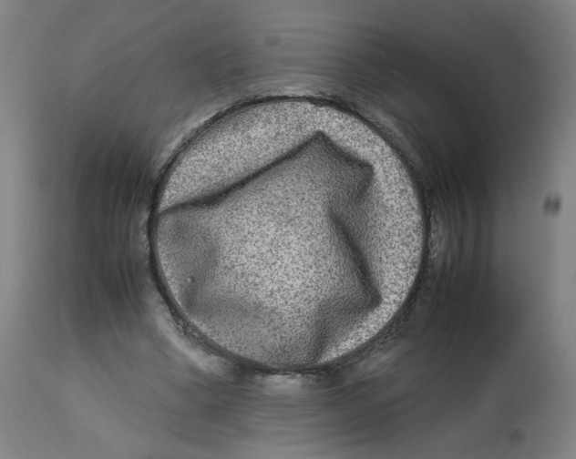 X0000112730394200909171132