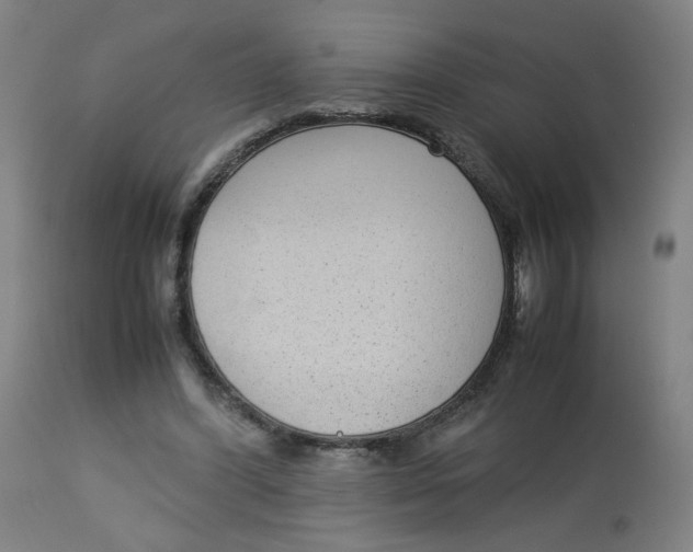 X0000112730396200909171132