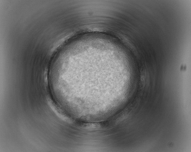 X0000112730398200909171132