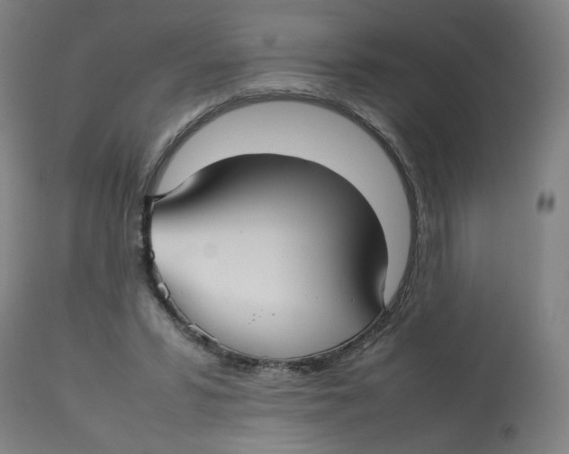 X0000112730399200909171132