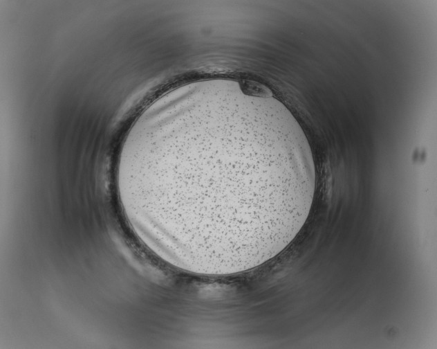 X0000112730400200909171132